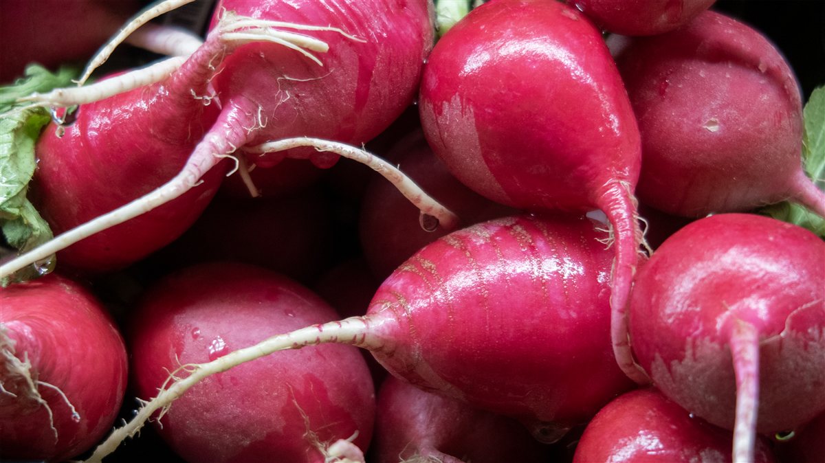 Grocery cart with approved foods during wic benefits government shutdown uncertainty